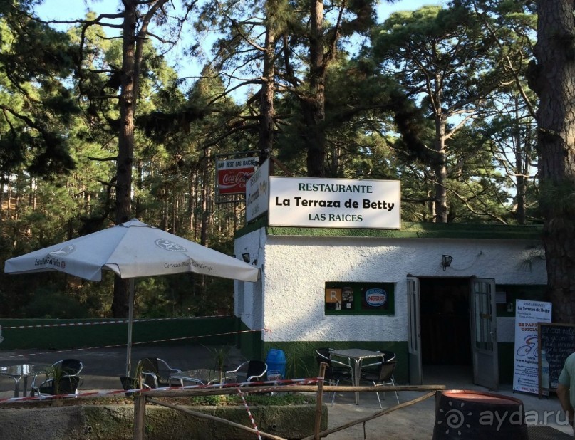 Леса Эсперанса. Тенерифе. часть 2