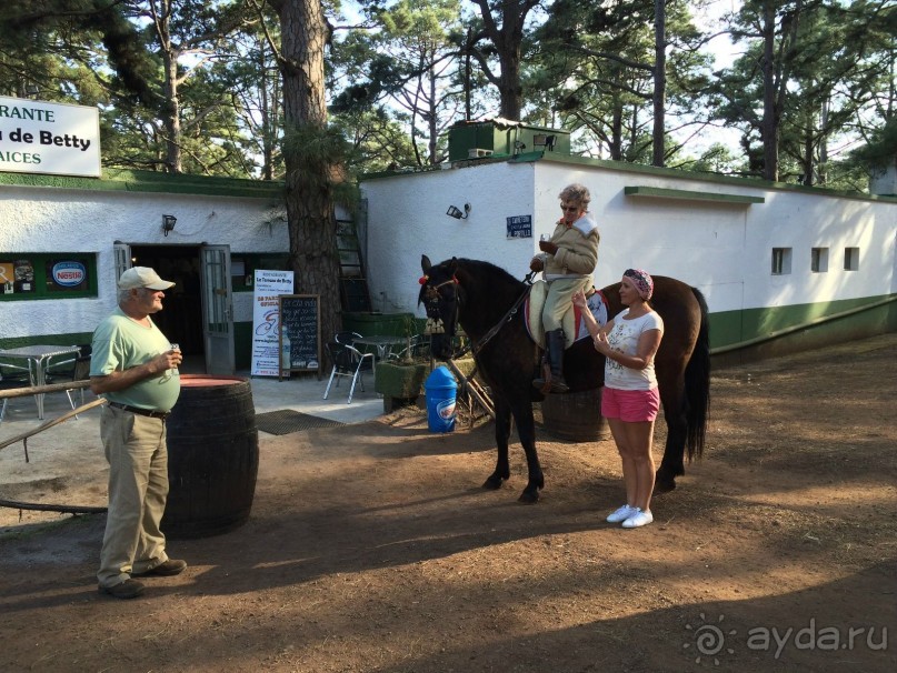 Леса Эсперанса. Тенерифе. часть 2