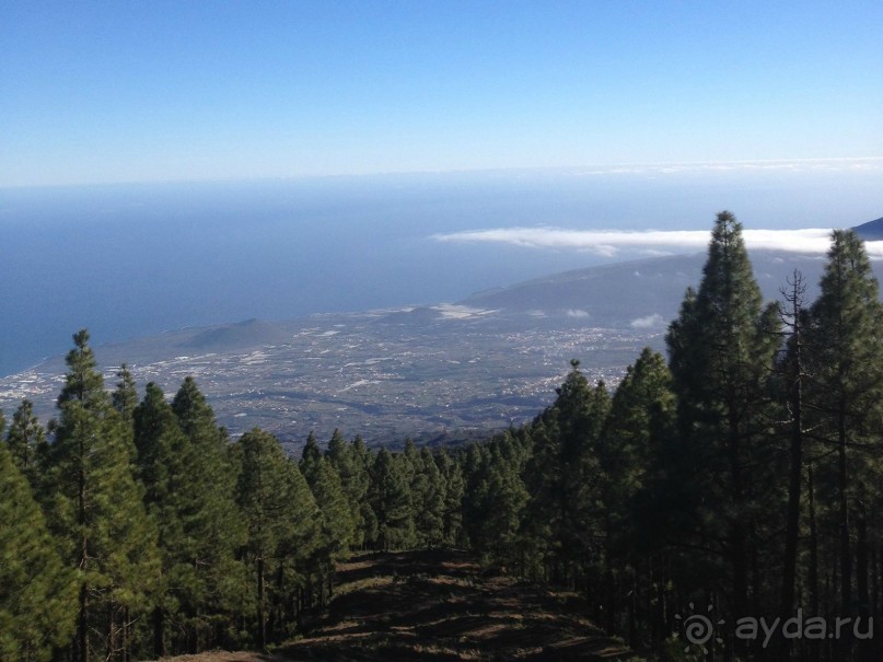 Леса Эсперанса. Тенерифе. часть 2