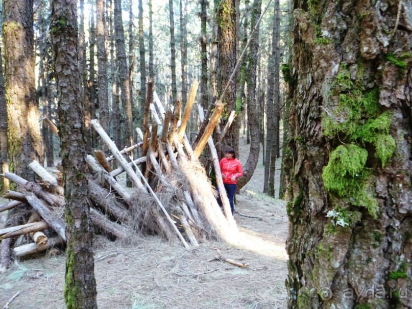 Леса Эсперанса. Тенерифе. часть 2