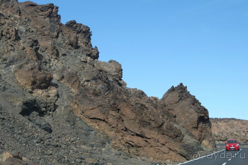 Леса Эсперанса. Тенерифе. часть 2