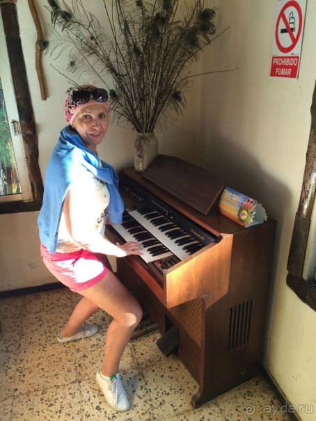 Леса Эсперанса. Тенерифе. часть 2