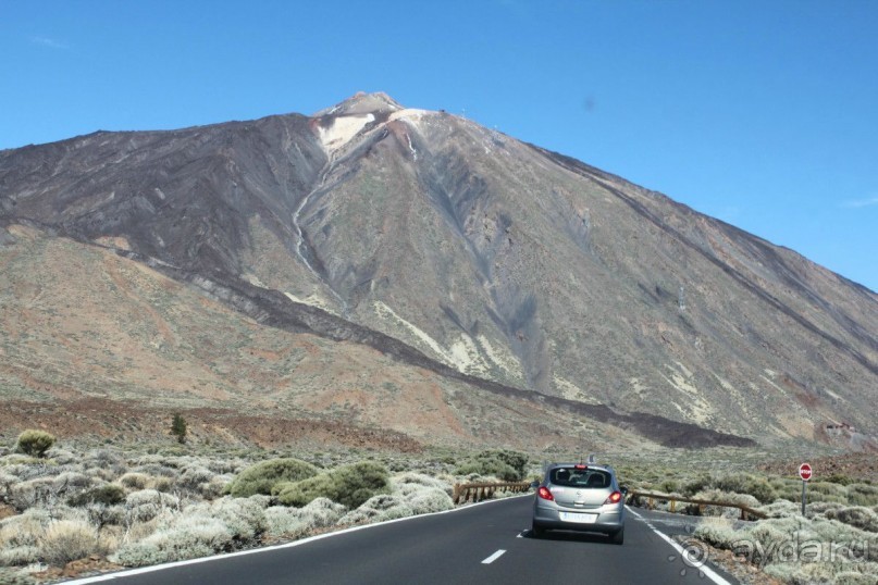 Леса Эсперанса. Тенерифе. часть 2