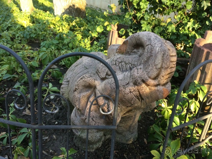 Кабардинка. Старый парк