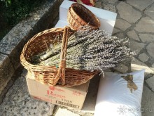 А вы знаете, что такое Стонская солана?