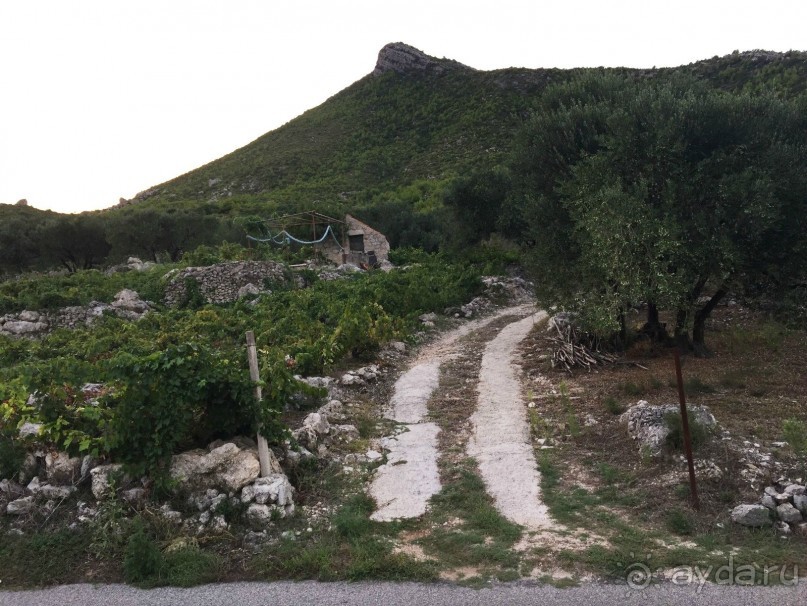 А вы знаете, что такое Стонская солана?