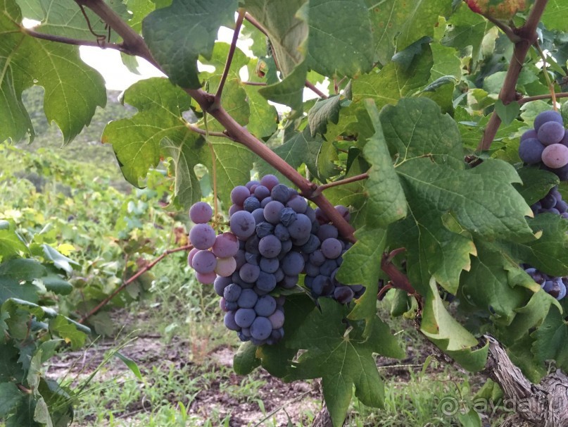 А вы знаете, что такое Стонская солана?