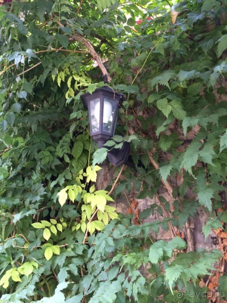 А вы знаете, что такое Стонская солана?