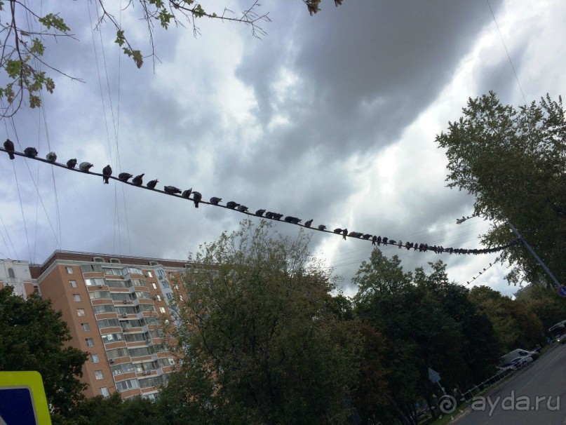 А вы знаете, что такое Стонская солана?