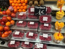 Барселона. Что можно посмотреть за несколько часов