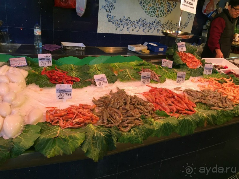 Барселона. Что можно посмотреть за несколько часов