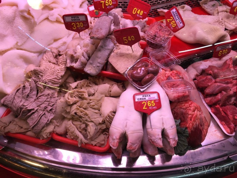 Барселона. Что можно посмотреть за несколько часов