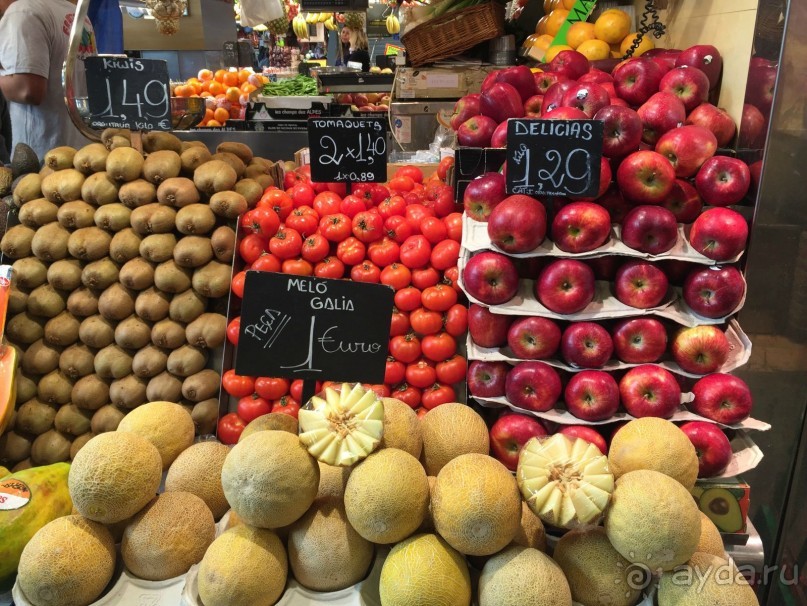 Барселона. Что можно посмотреть за несколько часов