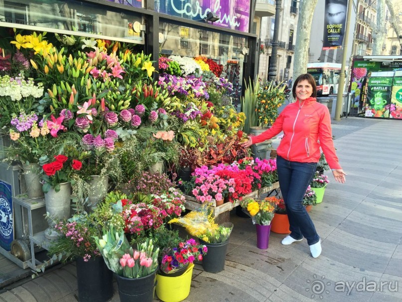 Барселона. Что можно посмотреть за несколько часов