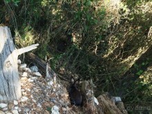 Что можно рассказать про необитаемый остров Локрум