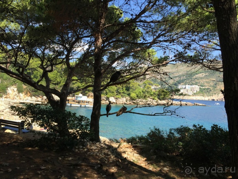 Что можно рассказать про необитаемый остров Локрум