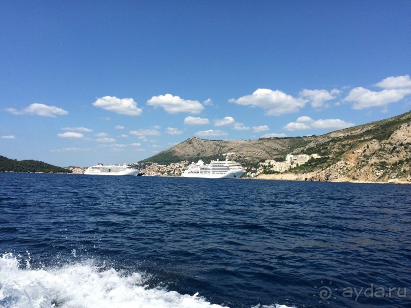 Что можно рассказать про необитаемый остров Локрум Что можно рассказать про необитаемый остров Локрум