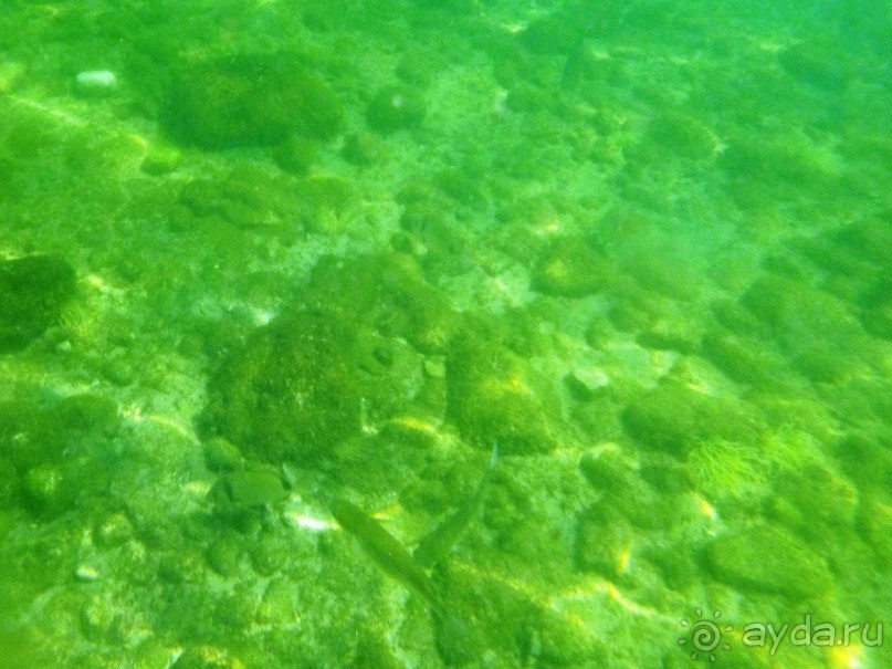 Что можно рассказать про необитаемый остров Локрум