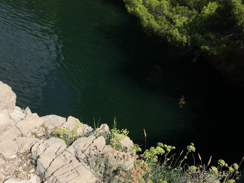 Что можно рассказать про необитаемый остров Локрум