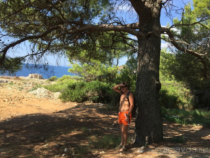 Что можно рассказать про необитаемый остров Локрум