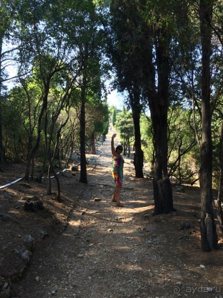 Что можно рассказать про необитаемый остров Локрум