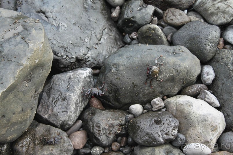 BASÍLICA NUESTRA SEÑORA DE CANDELARIA