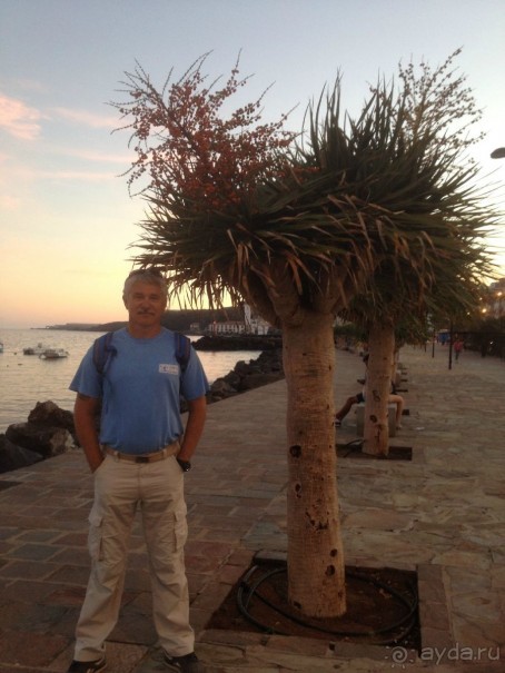 BASÍLICA NUESTRA SEÑORA DE CANDELARIA