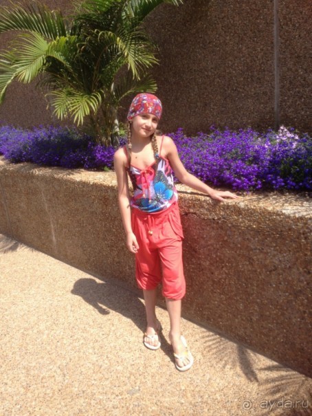 Трое в "Микре" не считая собаки (Коралловый риф)