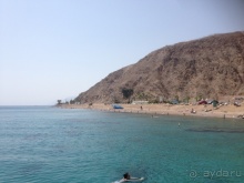 Трое в "Микре" не считая собаки (Коралловый риф)