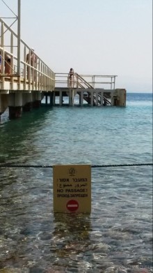 Трое в "Микре" не считая собаки (Коралловый риф)