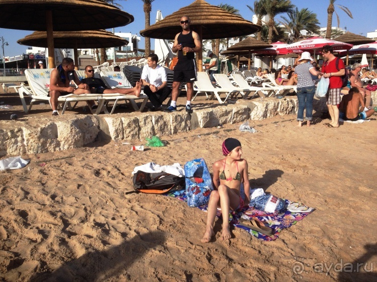 Трое в "Микре" не считая собаки (Коралловый риф)