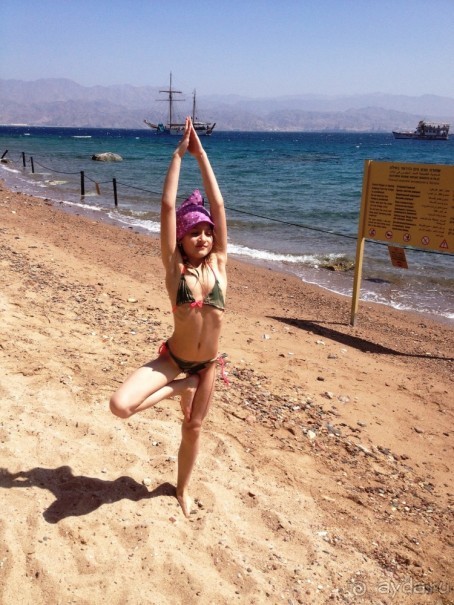 Трое в "Микре" не считая собаки (Коралловый риф)