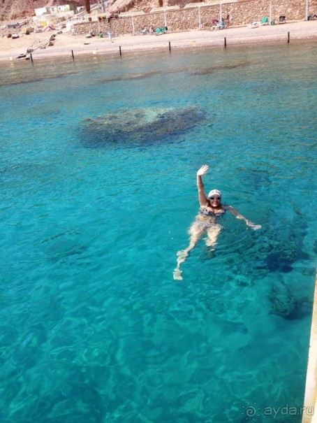 Трое в "Микре" не считая собаки (Коралловый риф)