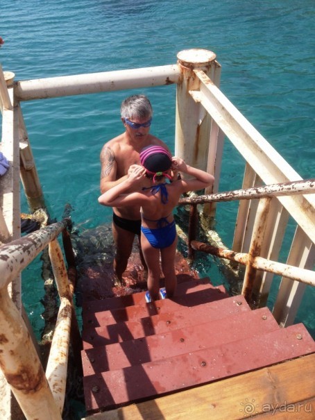 Трое в "Микре" не считая собаки (Коралловый риф)