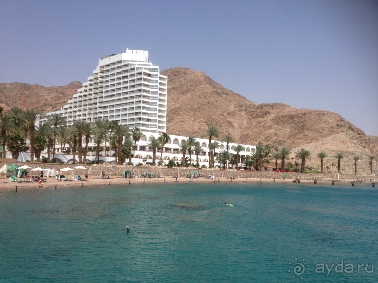 Трое в "Микре" не считая собаки (Коралловый риф)