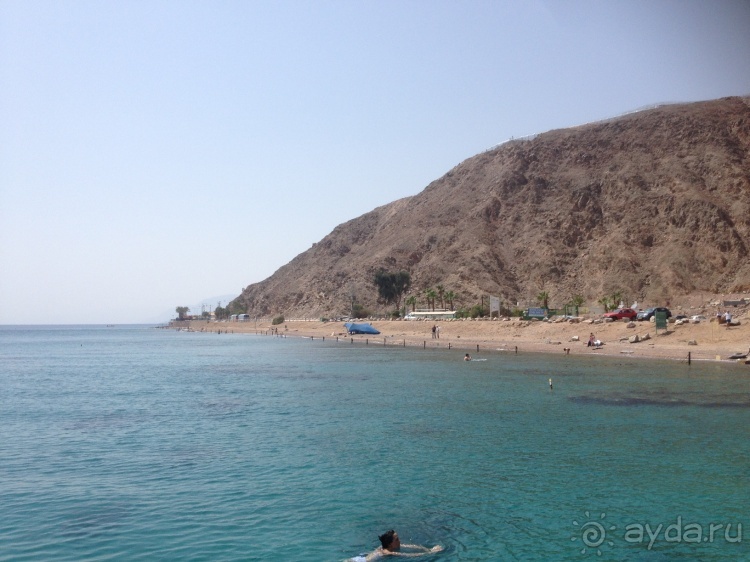 Трое в "Микре" не считая собаки (Коралловый риф)