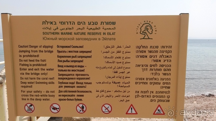 Трое в "Микре" не считая собаки (Коралловый риф)