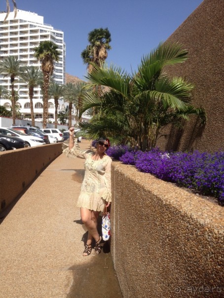 Трое в "Микре" не считая собаки (Коралловый риф)