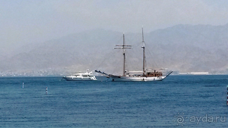 Трое в "Микре" не считая собаки (Коралловый риф)