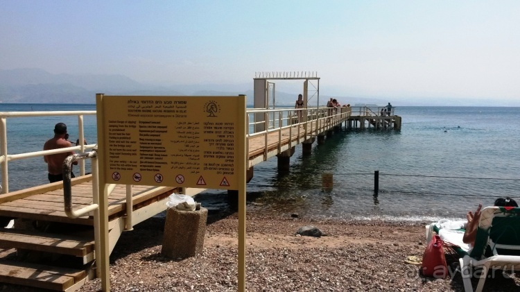 Трое в "Микре" не считая собаки (Коралловый риф)