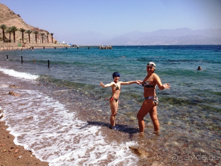 Трое в "Микре" не считая собаки (Коралловый риф)