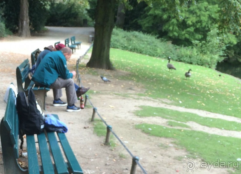 Полдня в Дюссельдорфе