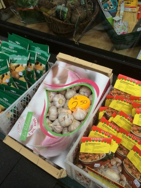 Полдня в Дюссельдорфе