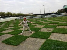 Полдня в Дюссельдорфе