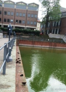 Полдня в Дюссельдорфе