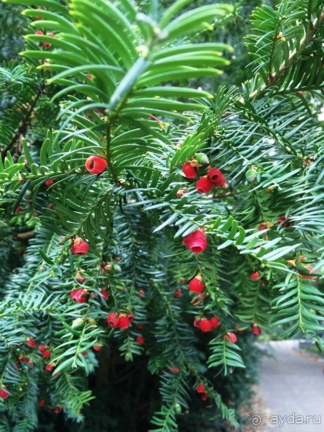 Полдня в Дюссельдорфе Полдня в Дюссельдорфе