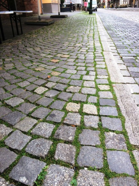 Полдня в Дюссельдорфе Полдня в Дюссельдорфе