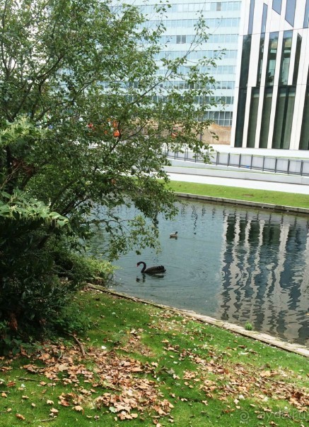 Полдня в Дюссельдорфе Полдня в Дюссельдорфе