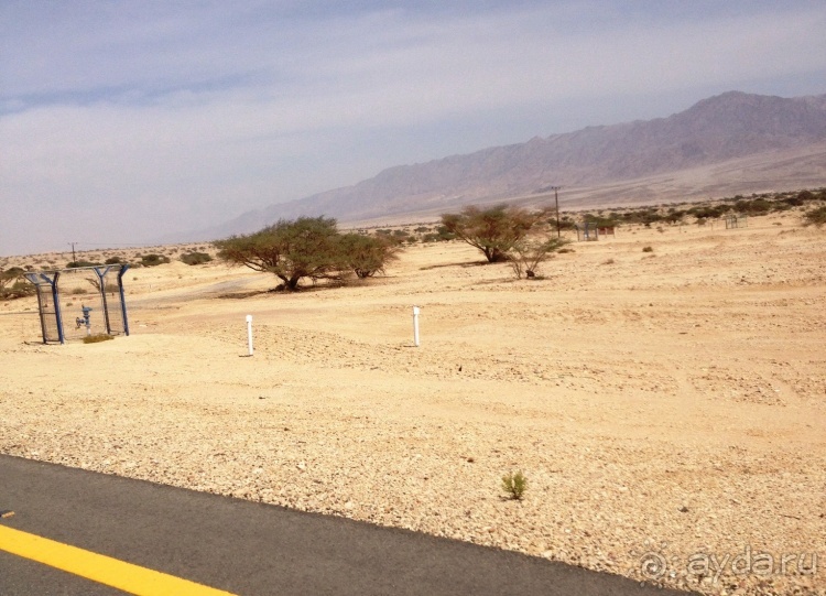 Трое в "Микре" не считая собаки (Мертвое море)