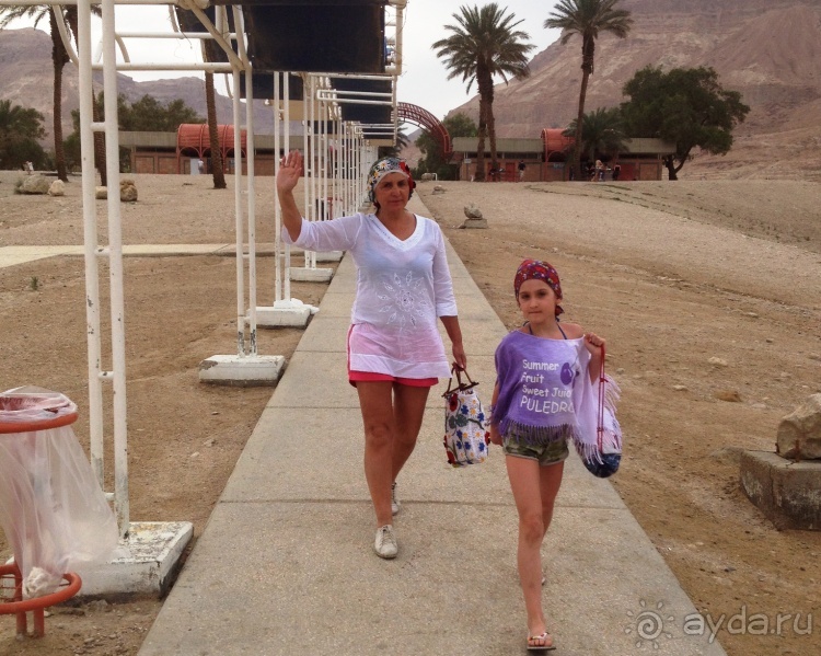 Трое в "Микре" не считая собаки (Мертвое море)